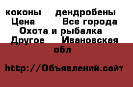 коконы    дендробены › Цена ­ 25 - Все города Охота и рыбалка » Другое   . Ивановская обл.